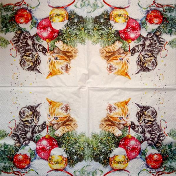 KAT-963 Katzen - 3-lagig - Ambiente